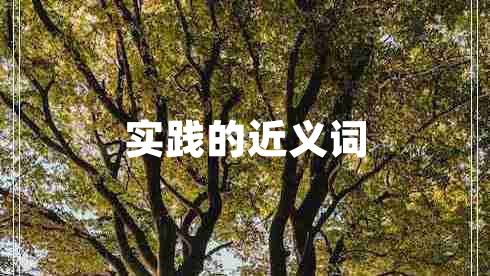 實踐的近義詞