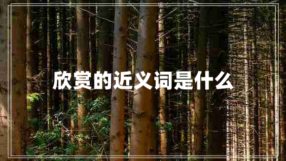 欣賞的近義詞是什么