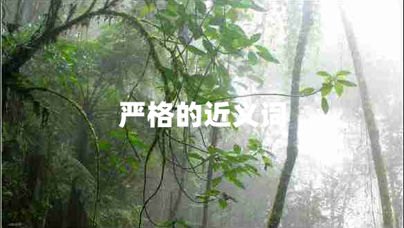 嚴(yán)格的近義詞 嚴(yán)格的近義詞