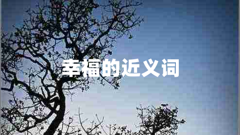 幸福的近義詞 幸福的近義詞