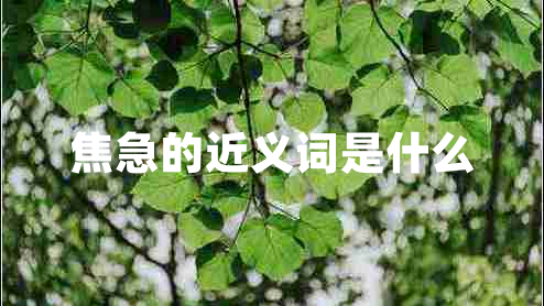 焦急的近義詞是什么 焦急的近義詞是什么