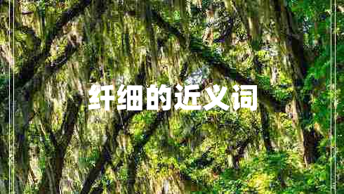 纖細(xì)的近義詞