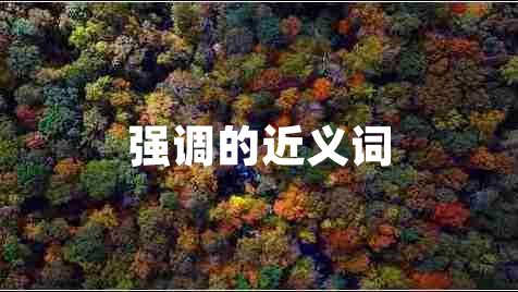 強(qiáng)調(diào)的近義詞