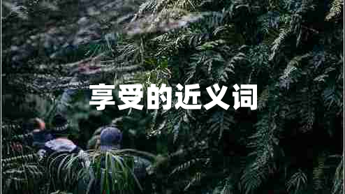 享受的近義詞 享受的近義詞