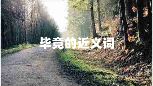 畢竟的近義詞 畢竟的近義詞