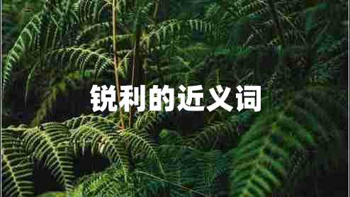 銳利的近義詞 銳利的近義詞