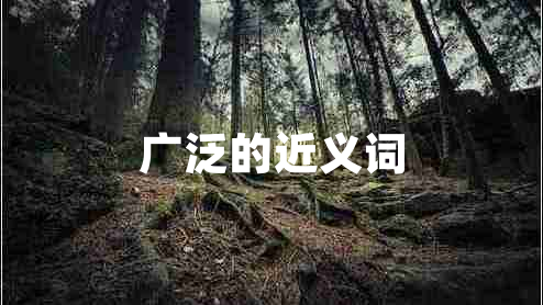 廣泛的近義詞 廣泛的近義詞