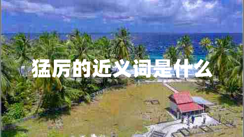 猛厲的近義詞是什么