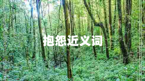 抱怨近義詞 抱怨近義詞
