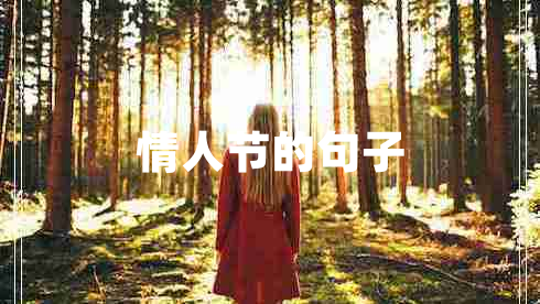 情人節(jié)的句子
