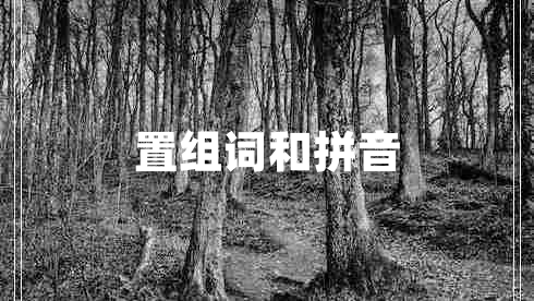 置組詞和拼音 置組詞和拼音