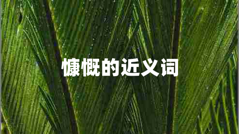 慷慨的近義詞 慷慨的近義詞