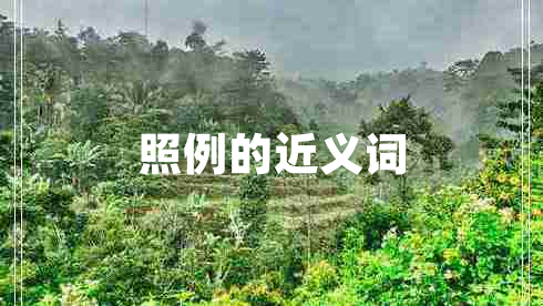 照例的近義詞 照例的近義詞