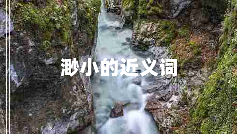渺小的近義詞 渺小的近義詞