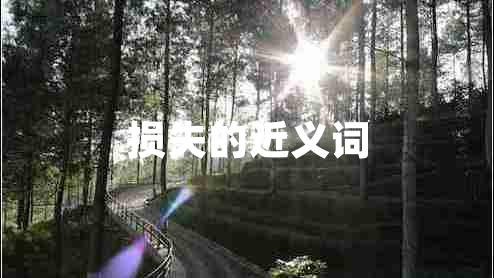 損失的近義詞 損失的近義詞