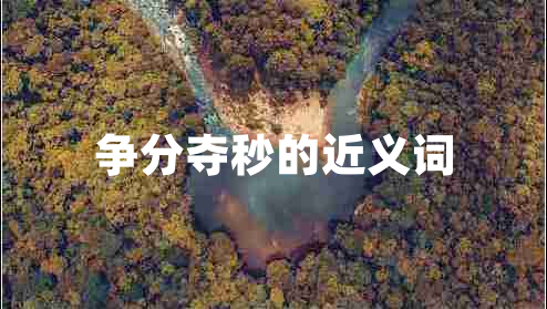 爭(zhēng)分奪秒的近義詞