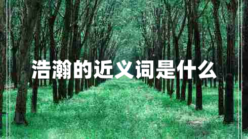 浩瀚的近義詞是什么