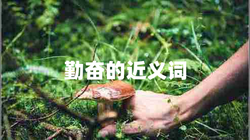 勤奮的近義詞 勤奮的近義詞