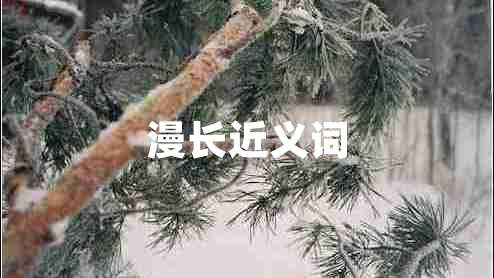 漫長(zhǎng)近義詞
