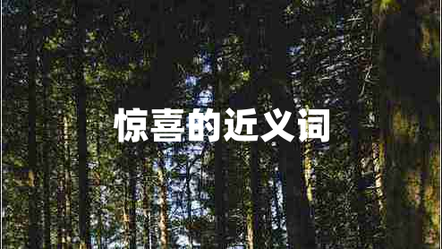 驚喜的近義詞 驚喜的近義詞