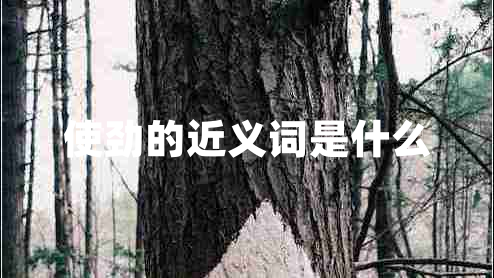 使勁的近義詞是什么