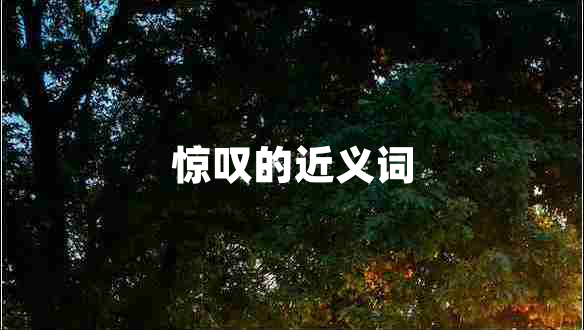 驚嘆的近義詞 驚嘆的近義詞