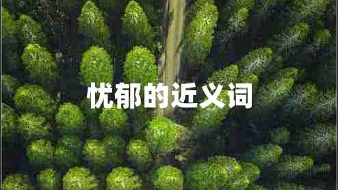 憂郁的近義詞 憂郁的近義詞