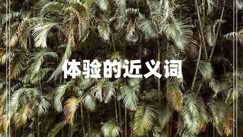 體驗(yàn)的近義詞