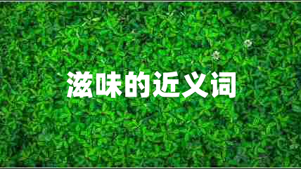 滋味的近義詞 滋味的近義詞