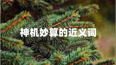 神機妙算的近義詞