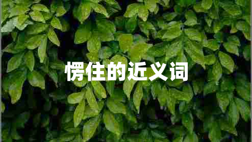 愣住的近義詞