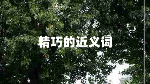 精巧的近義詞