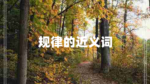 規(guī)律的近義詞 規(guī)律的近義詞