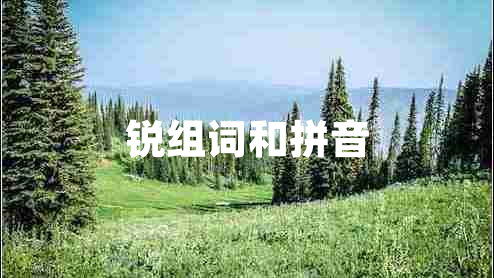 銳組詞和拼音 銳組詞和拼音
