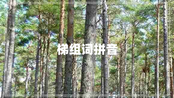 梯組詞拼音 梯組詞拼音