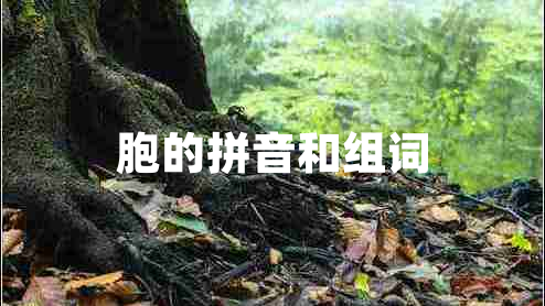 胞的拼音和組詞