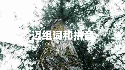 邁組詞和拼音 邁組詞和拼音