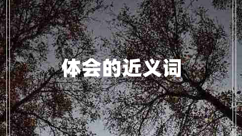體會(huì)的近義詞