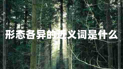 形態(tài)各異的近義詞是什么