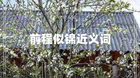 前程似錦近義詞