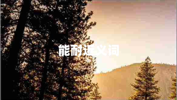 能耐近義詞 能耐近義詞