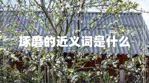 琢磨的近義詞是什么 琢磨的近義詞是什么