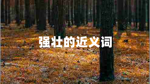強(qiáng)壯的近義詞