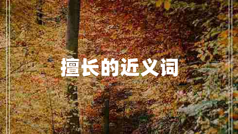 擅長的近義詞 擅長的近義詞