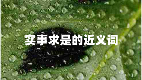 實事求是的近義詞