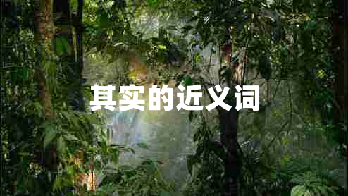 其實(shí)的近義詞 其實(shí)的近義詞