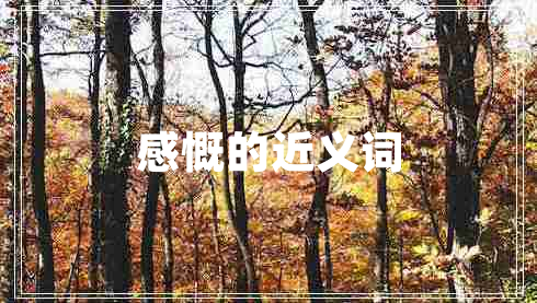 感慨的近義詞 感慨的近義詞