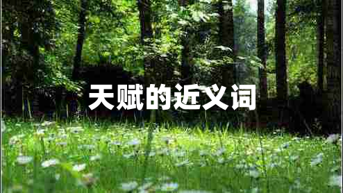 天賦的近義詞 天賦的近義詞