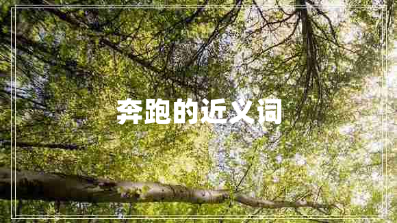 奔跑的近義詞 奔跑的近義詞