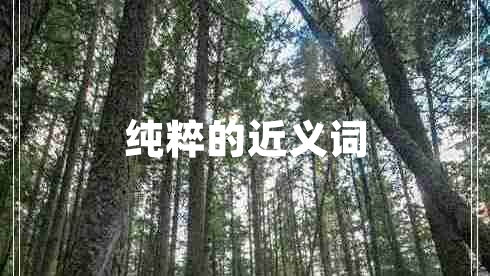純粹的近義詞